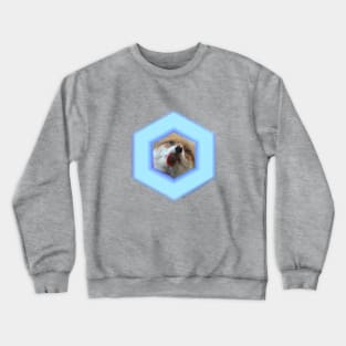 Fox Master Race Crewneck Sweatshirt